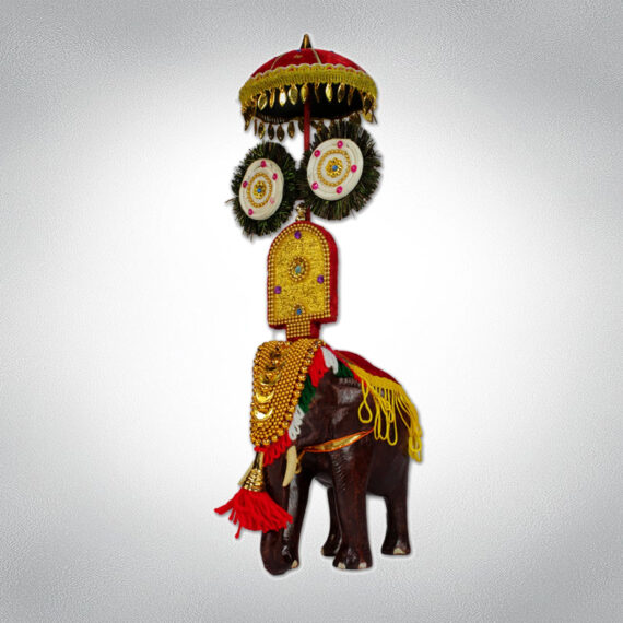 Thrissur Pooram Ornamented Elephant
